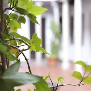  Appartement Adanar-las Columnas Espagne